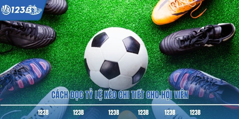 Cách đọc tỷ lệ kèo chi tiết cho hội viên Cách đọc tỷ lệ kèo chi tiết cho hội viên