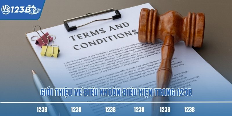 Giới thiệu về điều khoản điều kiện trong 123B