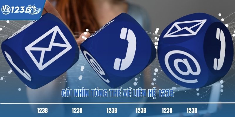 Cái nhìn tổng thể về liên hệ 123B